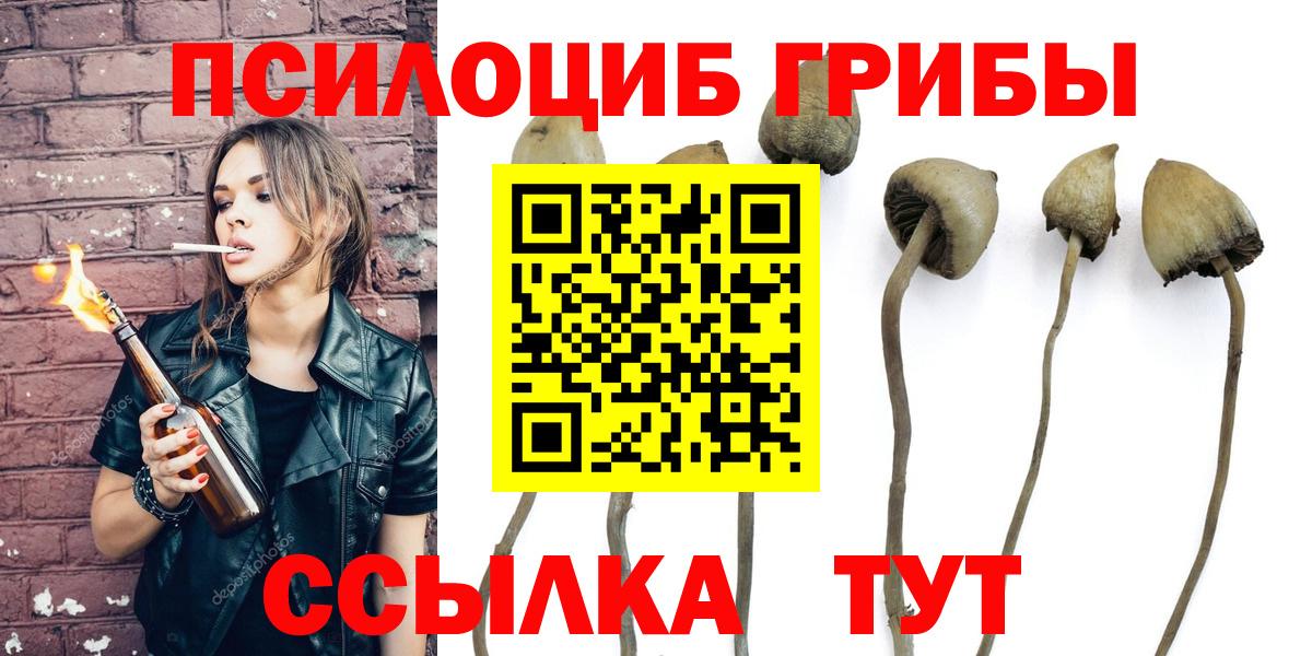 где найти   Псилоцибиновые грибы Cubensis  Вход с VPN  Псилоцибиновые грибы прущие грибы  Красноуфимск 